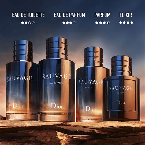 dior sauvage season|Dior Sauvage fragrantica.